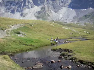 Circo di Troumouse - Fiume fiancheggiato da pascoli (erba), le montagne circo sullo sfondo, nel Parco Nazionale dei Pirenei