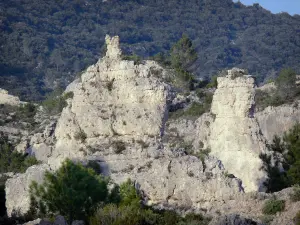 Circus van Mourèze - Cirque dolomitische: rock (rock) en struiken