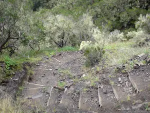 Cirque de Mafate - Wandelpad leidt tot cervicale Taïbit