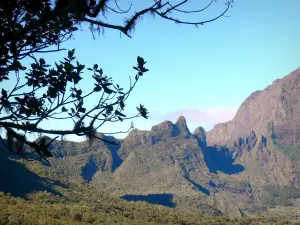 Cirque de Mafate - Uitzicht op de reliëfs van de natuurlijke cirque, met takken van een boom op de voorgrond