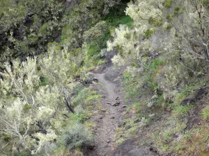 Cirque de Mafate - Weg tussen de nek en Marla Taïbit