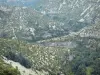 Cirque de Navacelles - Vue sur les reliefs et les falaises calcaires du cirque naturel (canyon de la Vis, gorges de la Vis)
