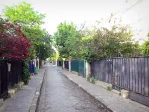 Cité des Fleurs - Promenade le long de la voie bordée de jardin arborés