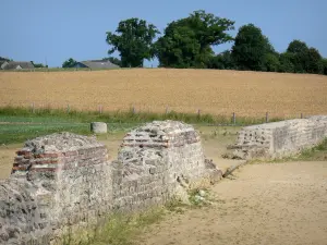 Cité gallo-romaine de Jublains - Site archéologique : champ aux abords du site du temple