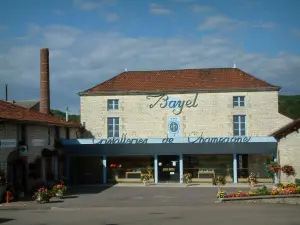 Città del cristallo - Royal Champagne e cristallo Mazzolay Museum Center (Museo del Cristallo), in Bayel