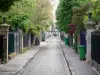 Città dei Fiori - Strada asfaltata fiancheggiata da alberi