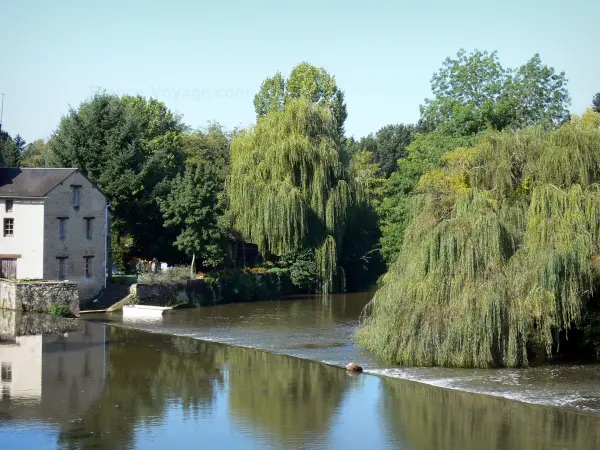 Civray - Charente river, trees along the water