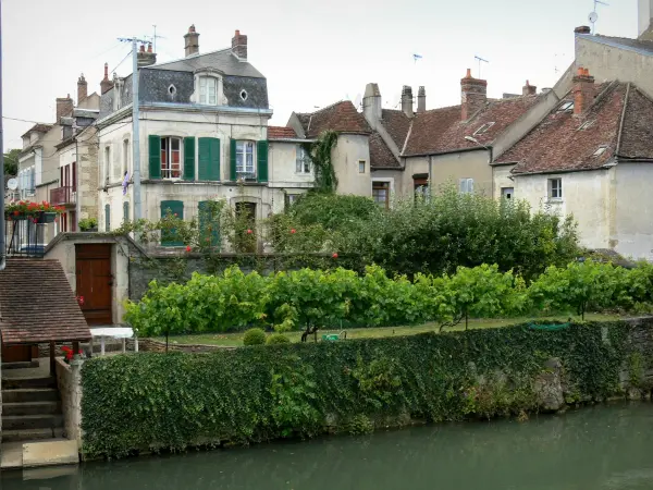 Clamecy - Facciate di case e giardini accanto al fiume Beuvron
