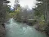 Clarée valley - Clarée river lined with trees