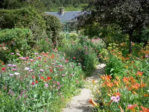 Claude Monet’s house and gardens - Monet's garden, in Giverny: Norman enclosure: path lined with flowerbeds