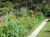 Claude Monet’s house and gardens - Monet's garden, in Giverny: Norman enclosure: flowerbed