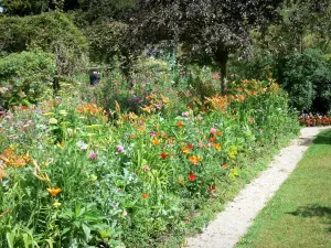 Claude Monet’s house and gardens - Monet's garden, in Giverny: Norman enclosure: flowerbed