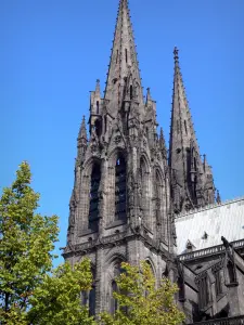 Clermont-Ferrand - Steeple of the Notre-Dame-de-l'Assomption cathedral of Gothic style made of lava stone