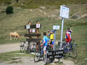 Col d'Aspin pass - Cyclists pausing at the Col d'Aspin mountain pass (in the Pyrenees), sign indicating the altitude of the pass (1490 meters), cow and pastures in the background