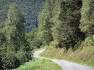 Col de la Crouzette pass - Road lined with trees climbing to the Col de la Crouzette pass; in the Ariège Pyrenees Regional Nature Park