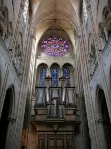 Collegiaal van Mantes-la-Jolie - Orgel van de collegiale kerk Notre-Dame