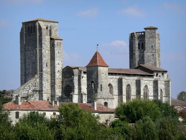 Collégiale de La Romieu - Collégiale Saint-Pierre et maisons du village