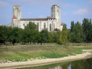 Collégiale de La Romieu - Collégiale Saint-Pierre, verger et plan d'eau