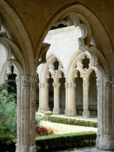 Collégiale de La Romieu - Cloître de la collégiale Saint-Pierre