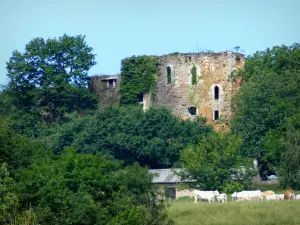 Collina di Mousson - Vista del castello di Mousson immerso nel verde