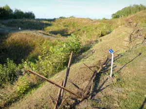 Collina di Vauquois - Crateri del sito di battaglia della prima guerra mondiale