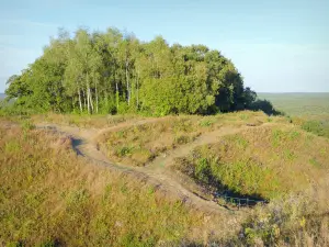 Collina di Vauquois - Luogo di battaglia della prima guerra mondiale