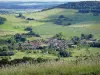 Colline de Sion-Vaudémont - Panorama depuis le site de Sion