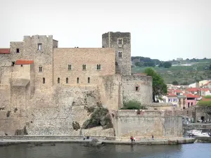 Collioure - Royal Castle Collioure lo largo del Mar Mediterráneo