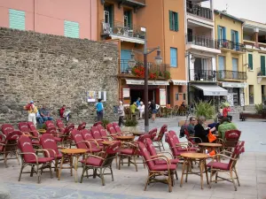 Collioure - Caffetteria con terrazza e facciate colorate del centro storico