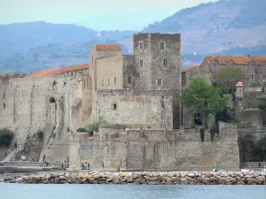 Collioure - Château royal au bord de la mer Méditerranée