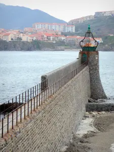 Collioure - Presa y Collioure insignia