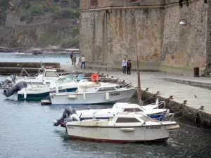 Collioure - Port de Collioure avec ses bateaux amarrés, et promenade au pied du château royal