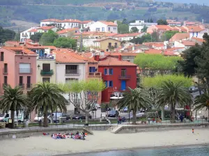 Collioure - Strand, Palmen und bunte Fassaden der Stadt