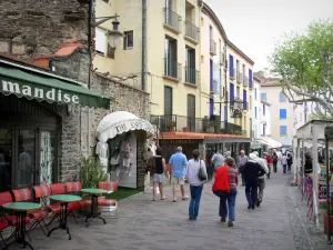 Collioure - Quay of the Admiralty, café terraces and facades of the old town
