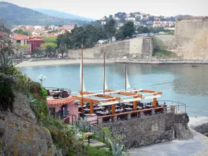 Collioure - Restaurant terrace overlooking the sea and the fortifications of the Collioure castle