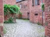 Collonges-la-Rouge - Paved street lined with stone houses of red sandstone