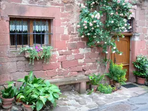 Collonges-la-Rouge - Arrampicata fiori che adornano la facciata di una casa in pietra di arenaria rosa rossa
