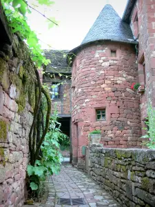 Collonges-la-Rouge - Calle adoquinada y alrededor de la casa de la sirena