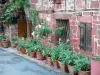 Collonges-la-Rouge - Pots de fleurs devant la façade d'une maison en pierre de grès rouge