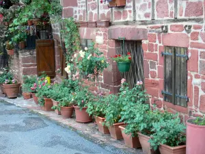 Collonges-la-Rouge - Vasi di fiori nella parte anteriore di una casa in pietra di arenaria rossa