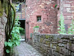 Collonges-la-Rouge - Calle adoquinada y alrededor de la casa de la sirena