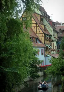 Colmar - La Petite Venise : arbres, maisons à colombages aux façades colorées au bord de la rivière (la Lauch) et promenade en barque sur le canal