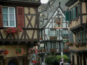 Colmar - Case a graticcio con fiori (gerani) e le insegne in ferro battuto abbastanza