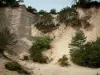 Colorado provençal - Désert blanc avec sable, arbres et petites falaises (anciennes carrières d'ocre de Rustrel)