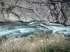 Combe du Queyras - Spikes op de voorgrond, de rivier Guil, rotsen en rock, in de Queyras Regionaal Natuurpark