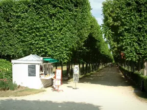 Compiègne - Park of the château with a bandstand and a long path lined with trees