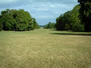 Compiègne - Park, trees and path (avenue) of the Beautiful Mountains with a cloudy sky