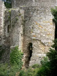 Conches-en-Ouche - Teil des Bergfrieds