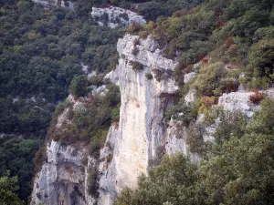 Concluses van Lussan - Gorges de l'Aiguillon kliffen (rotsen), struiken en bomen