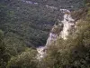 Concluses de Lussan - Gorges de l'Aiguillon falesie (pareti rocciose), arbusti e alberi